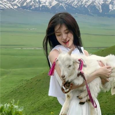王爷是只大脑斧第二季